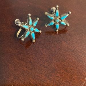 Turquoise petit point Star Screw on Earrings